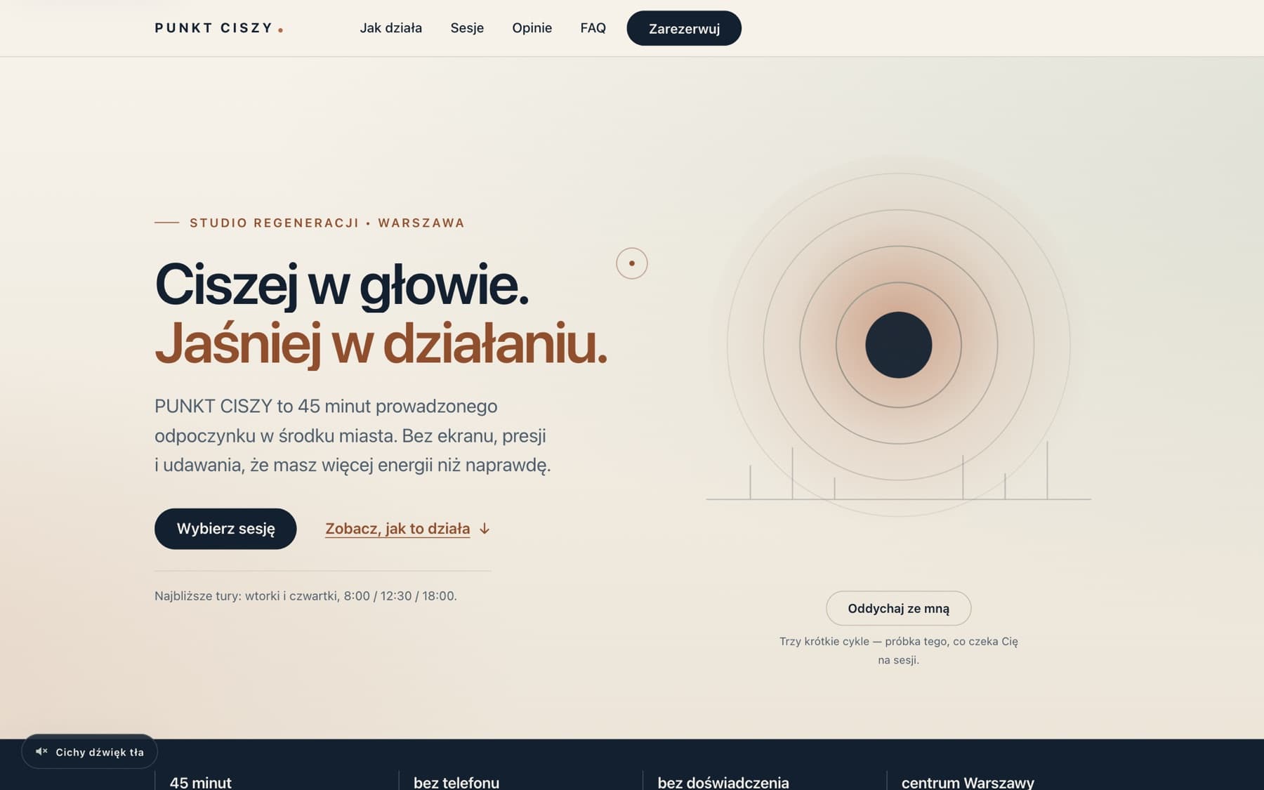 PUNKT CISZY — sekcja hero strony studia regeneracji